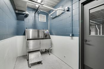 a stainless steel sink in a blue and white room with a door